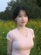 新严沉违的规律、组织规律、清廉规律和生